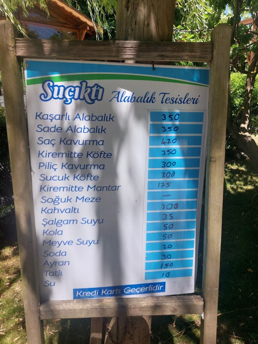 Suçıktı Mesire Alanı — fotoğraf 2