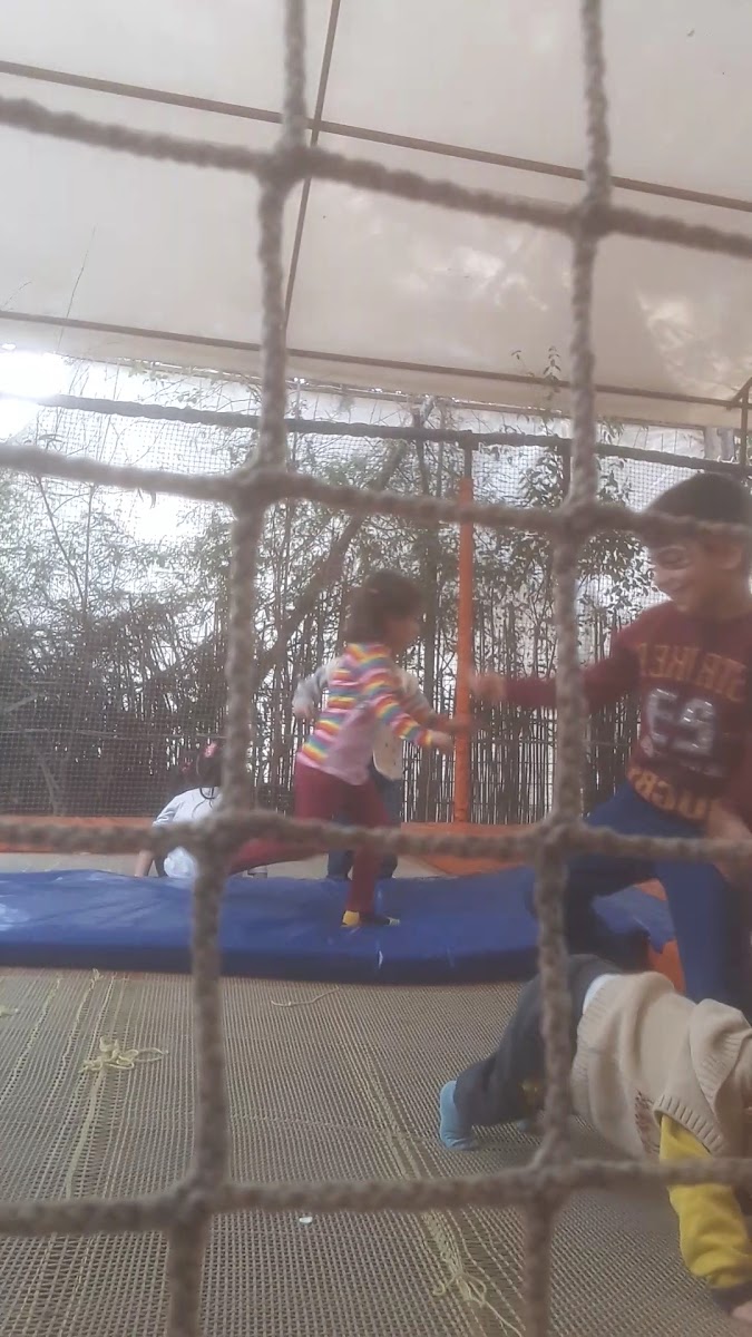 SÜMERLER ÇAY BAHÇESİ — fotoğraf 3