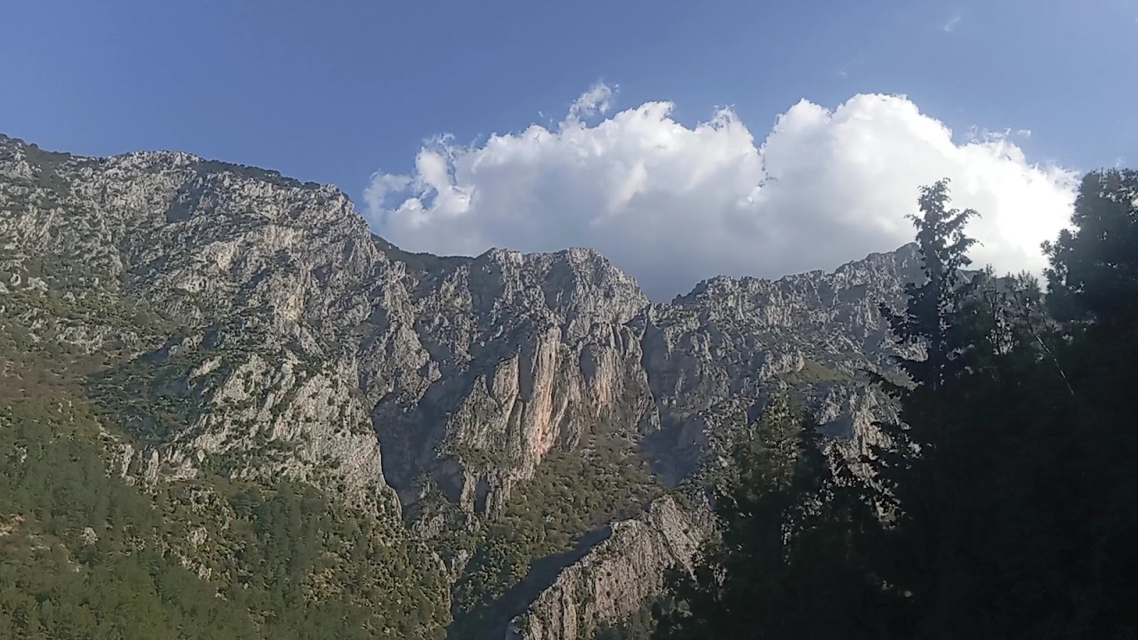 Süreyya Tabiat Parkı — fotoğraf 4