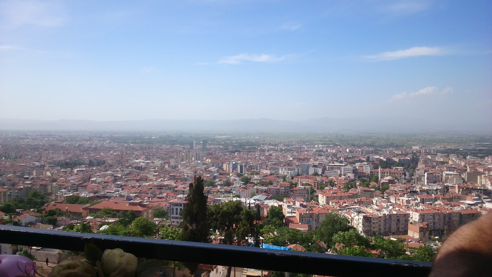 Süreyya Tabiat Parkı — fotoğraf 5