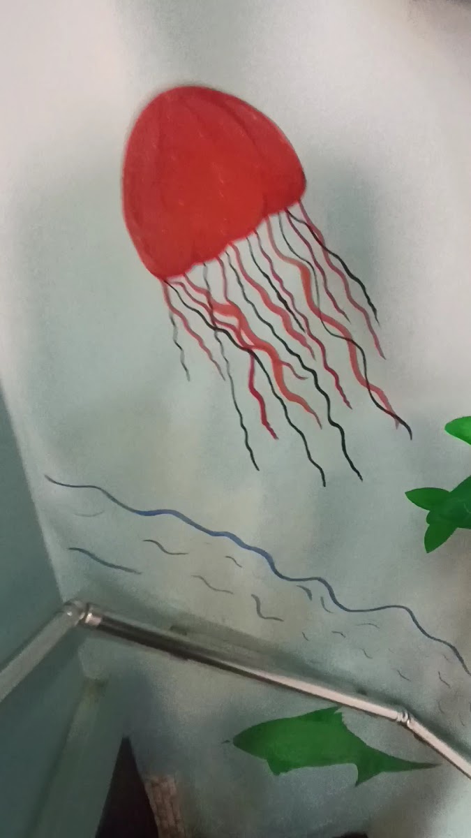 Tarihi Balıkçı — fotoğraf 2