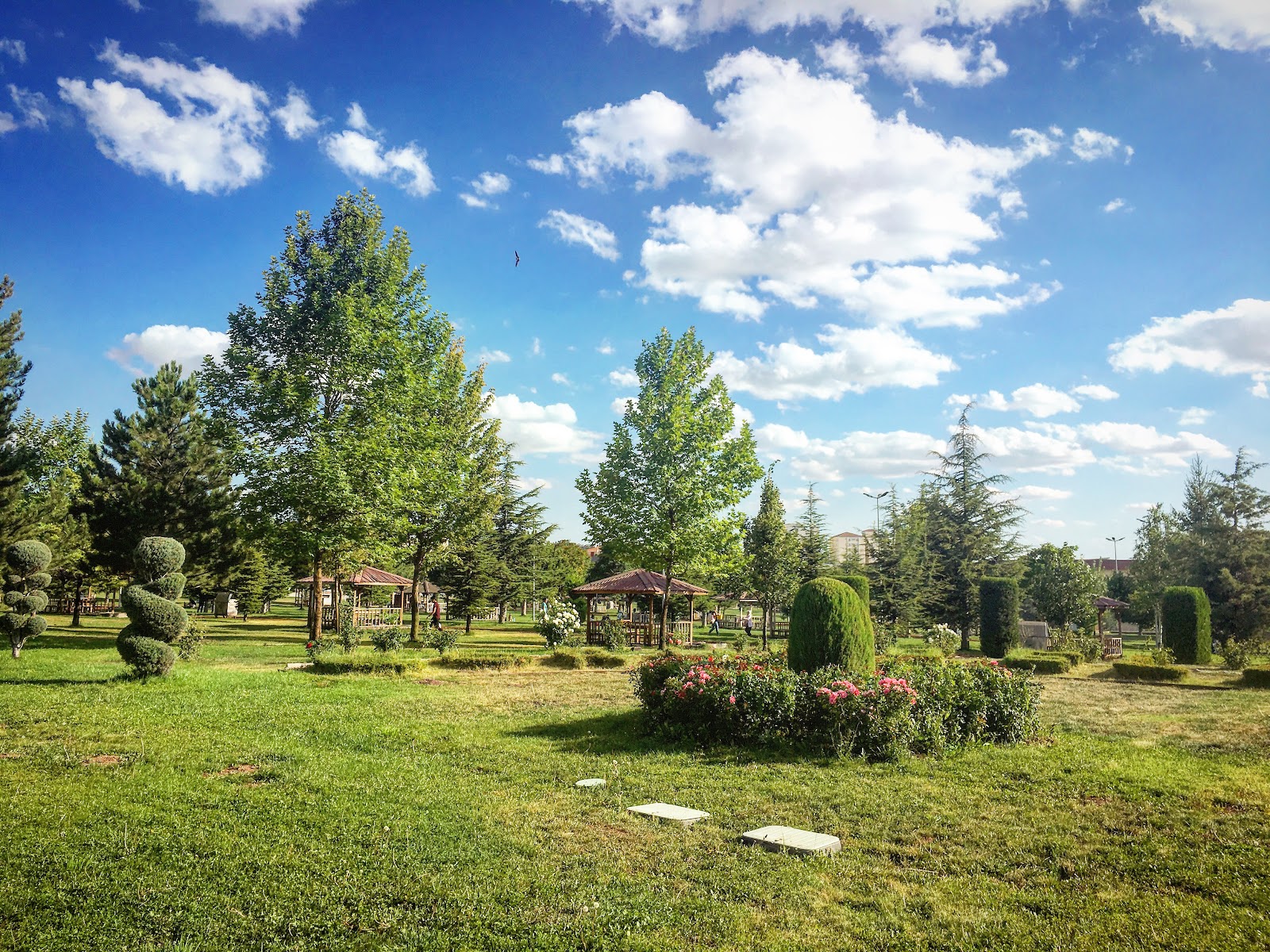 Taş Tepesi Parkı — fotoğraf 1