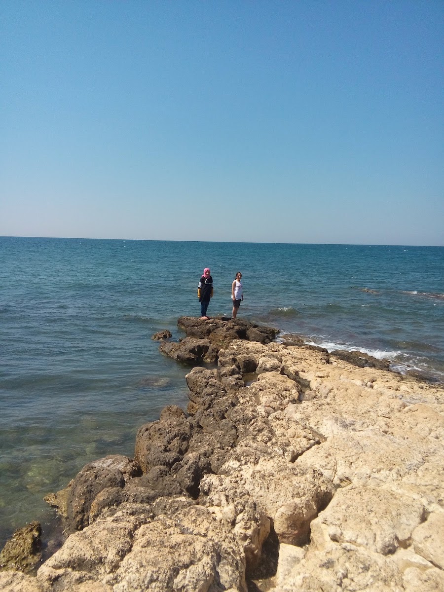 Tavşanburnu Tabiat Parkı — fotoğraf 1