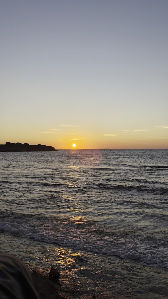 Tavşanburnu Tabiat Parkı — fotoğraf 3