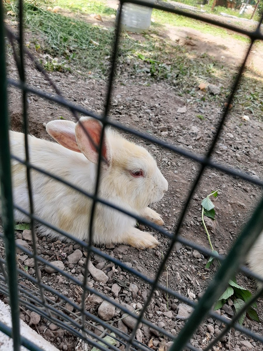 Tavşanlı Park — fotoğraf 1