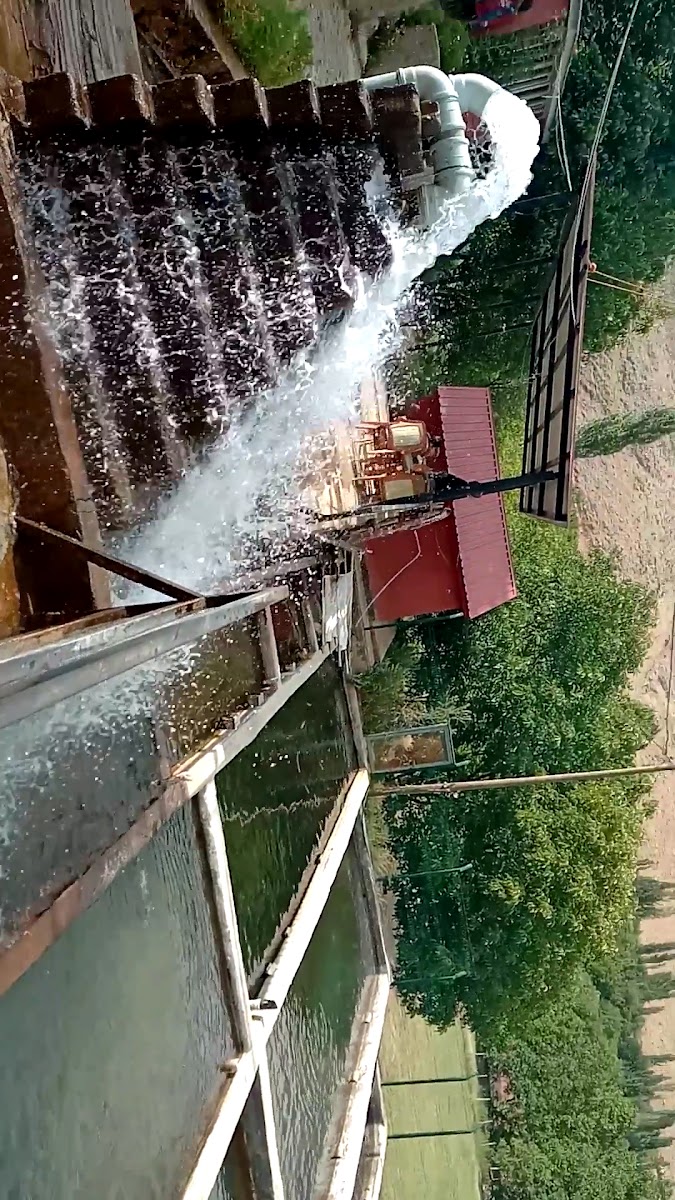 Taylan Alabalık Tesisleri Ve Lokantası — fotoğraf 3