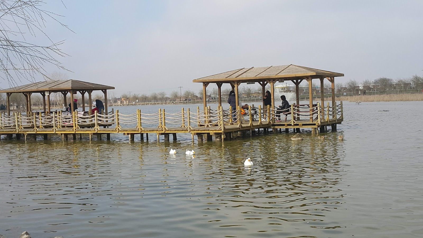 Tekirdağ Büyükşehir Belediyesi Gölbaşı Gençlik Parkı — fotoğraf 1