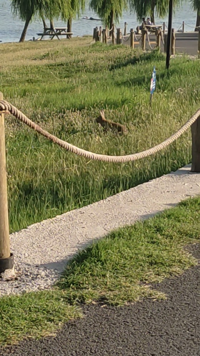 Tekirdağ Büyükşehir Belediyesi Gölbaşı Gençlik Parkı — fotoğraf 4