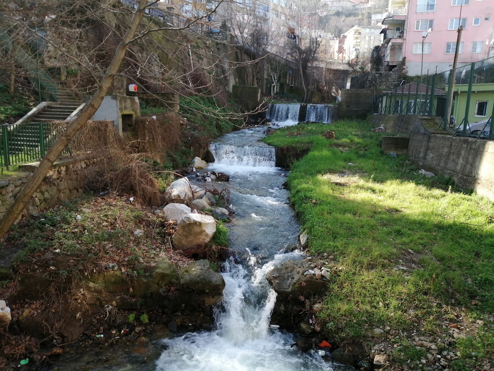 Temenyeri Parkı — fotoğraf 1