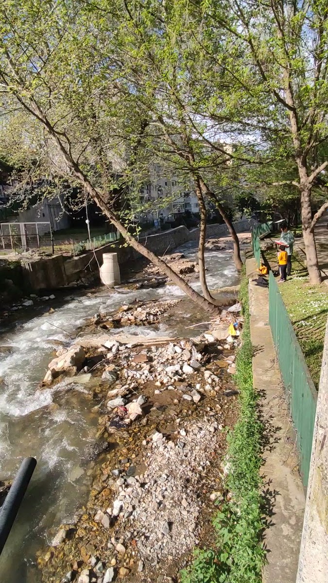 Temenyeri Parkı — fotoğraf 3