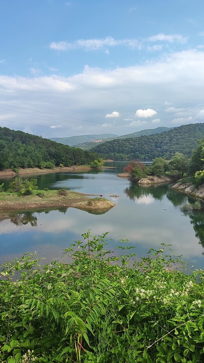 Termal Park — fotoğraf 3