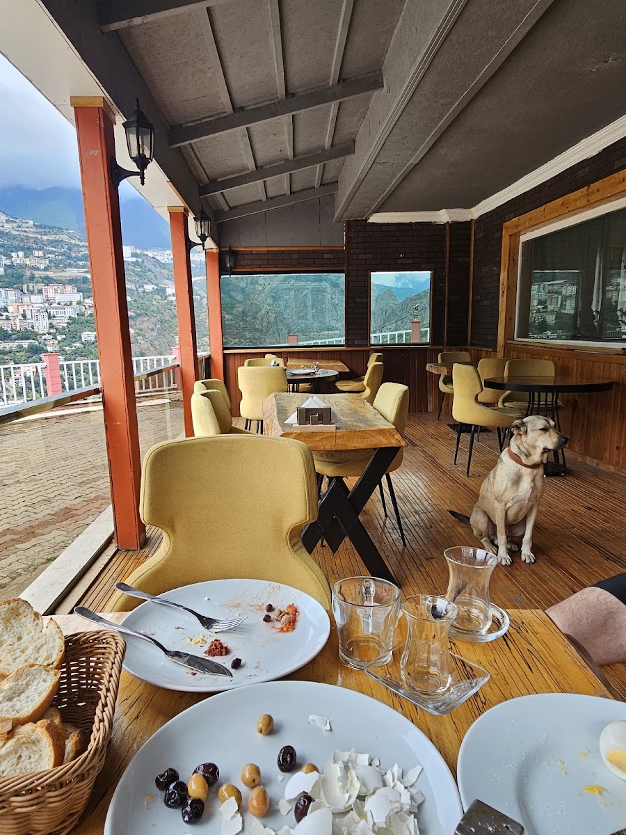 The Park Artvin Otel — fotoğraf 5