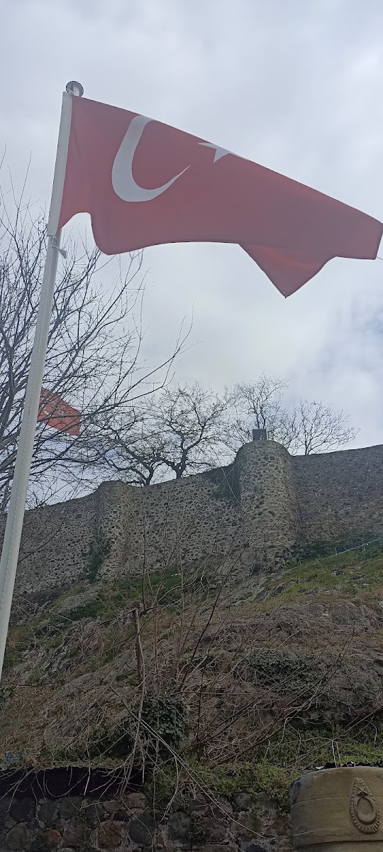 Tirebolu Kalesi — fotoğraf 2