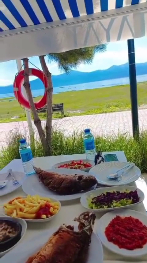 Tolca Oskar Balık Evi Restaurant 1986’dan beri — fotoğraf 3