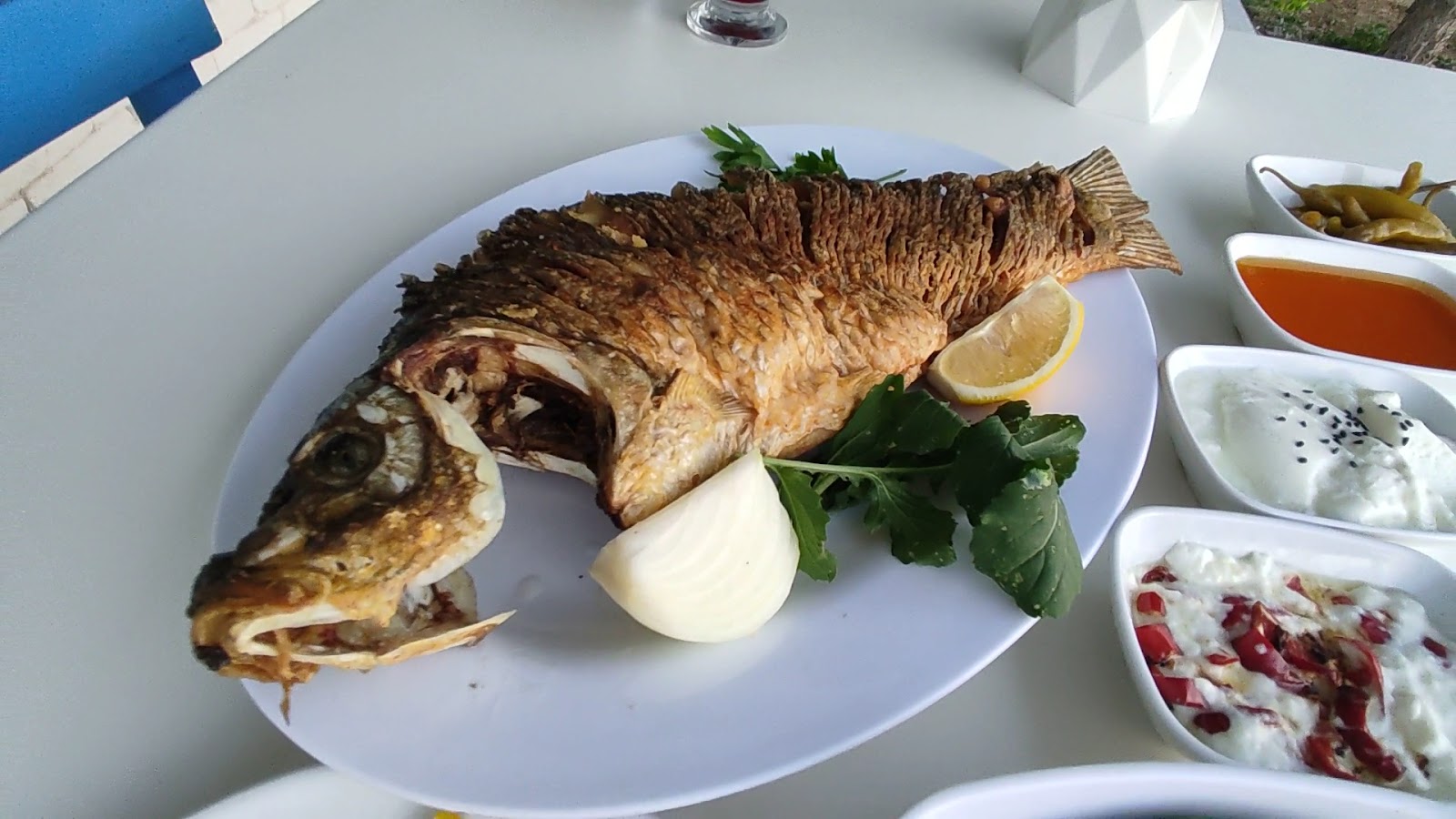 Tolca Tayat Balık Evi Restaurant — fotoğraf 3