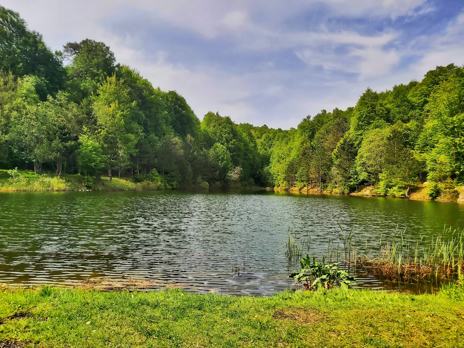 Topuk Yaylası Tabiat Parkı