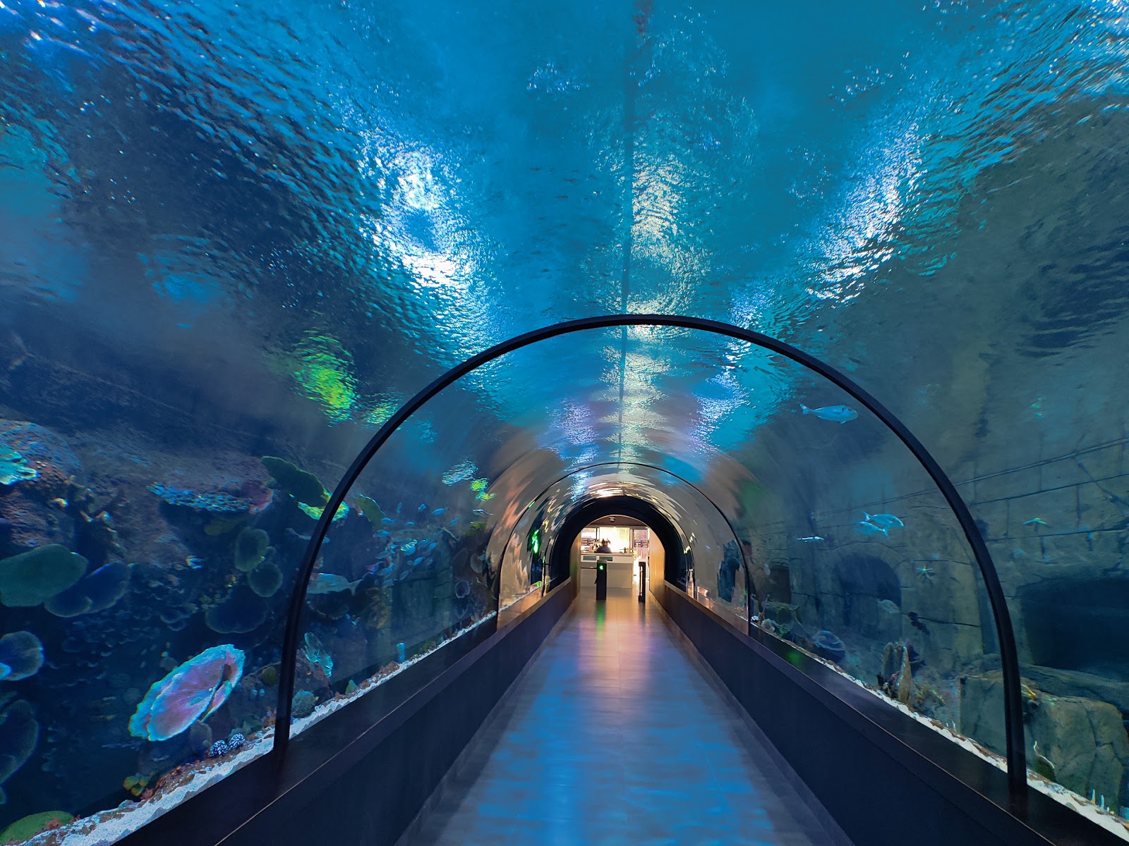 Trabzon Akvaryum — fotoğraf 1