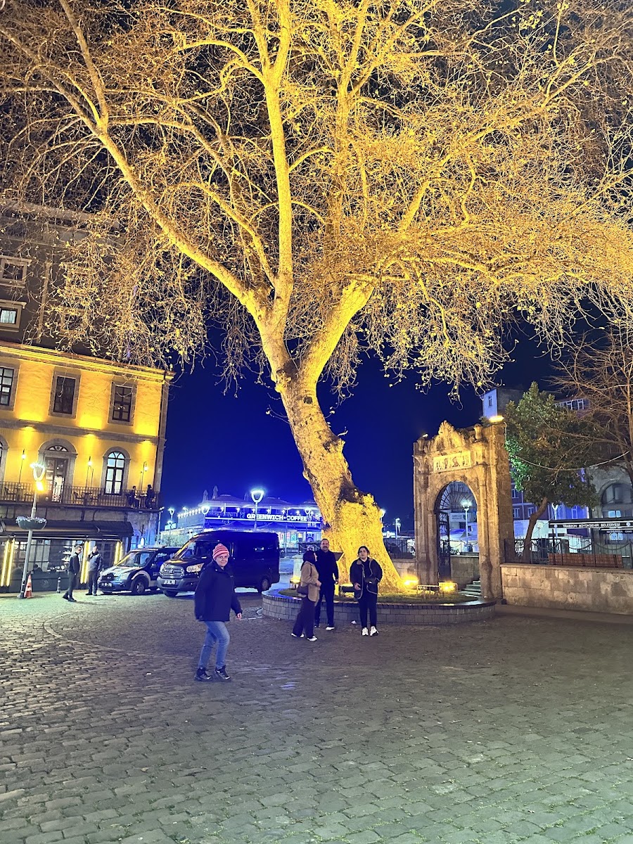 Trabzon Meydan Parkı — fotoğraf 2