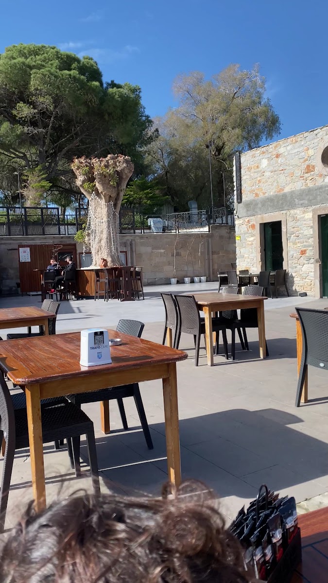 Trafo Cafe & Restaurant - Bodrum Belediye A.Ş. — fotoğraf 3