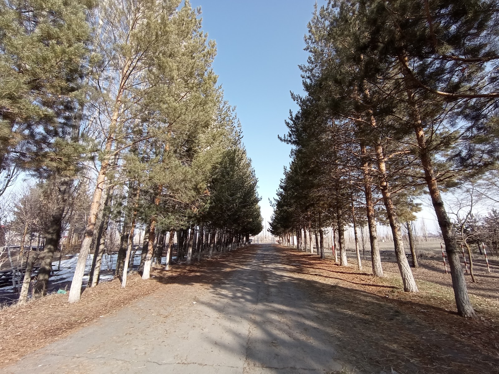 TRT Parkı — fotoğraf 1