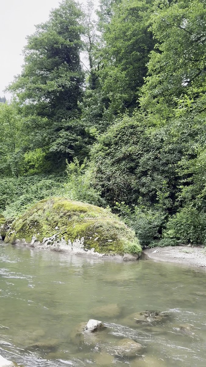 TÜLAY ABLANIN YERİ YÖRESEL YEMEKLER KÖY KAHVALTISI — fotoğraf 3