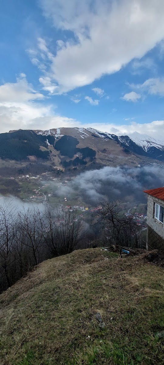 TUNÇ SÜTLAÇ - Hamsiköy Sütlacı — fotoğraf 2