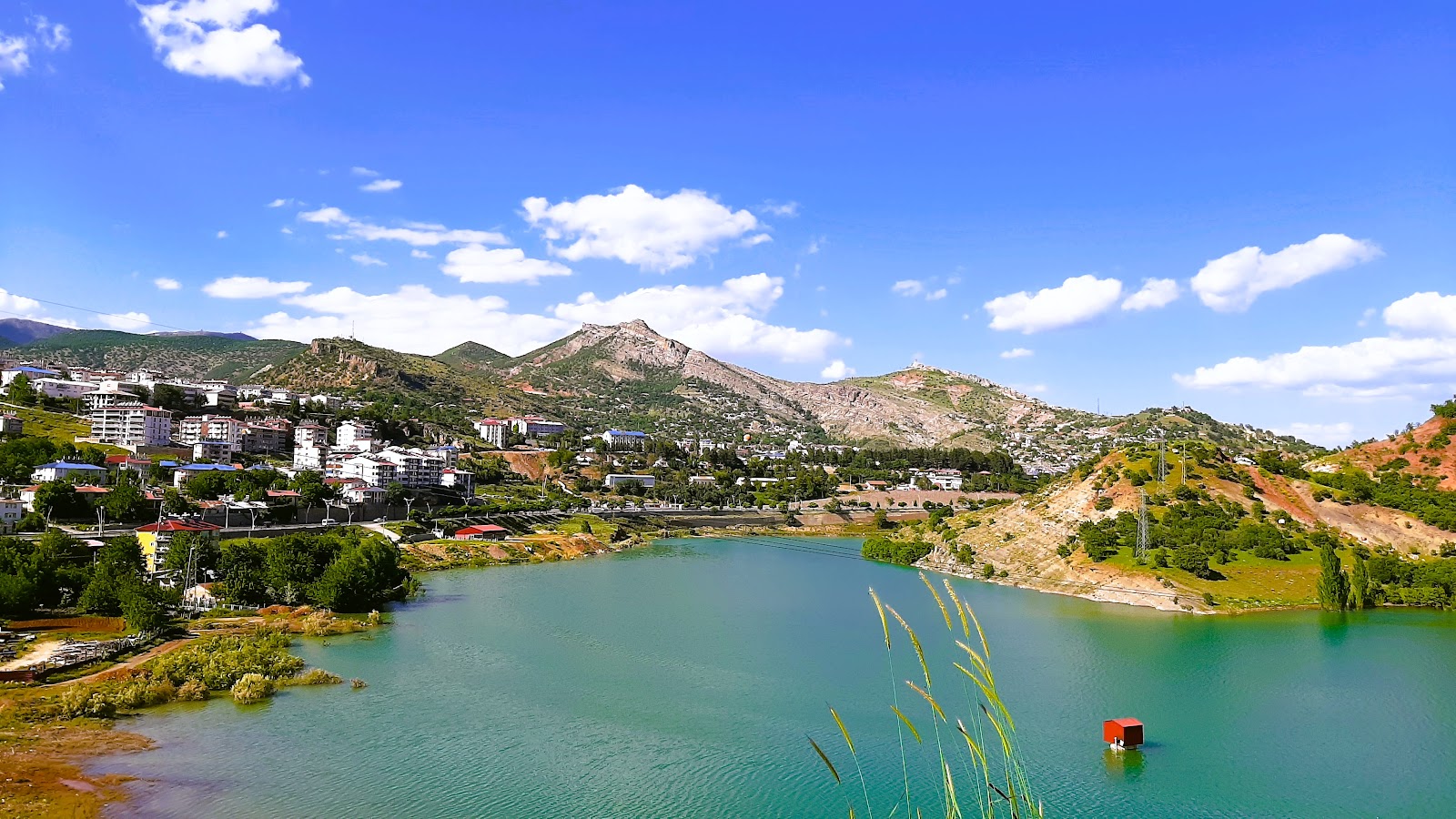 Tunceli Kent Ormanı — fotoğraf 1