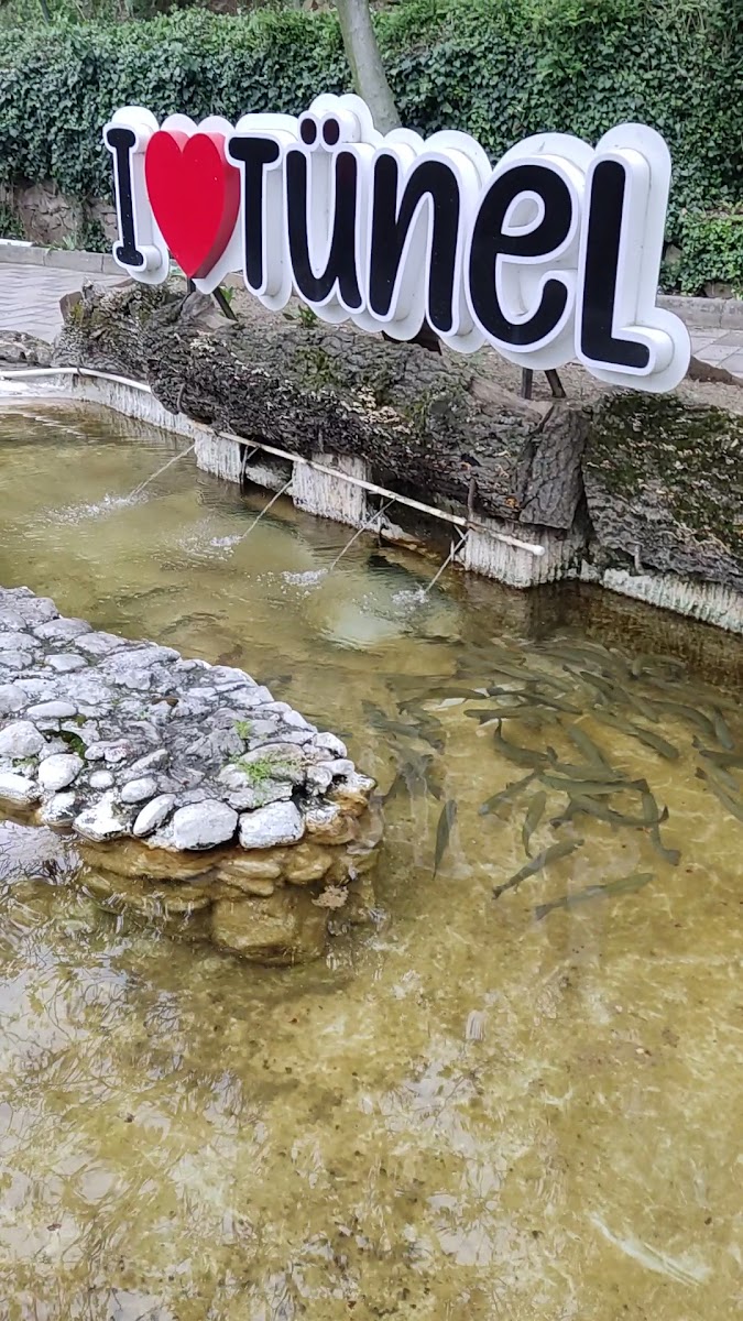 Tünel Restaurant — fotoğraf 3