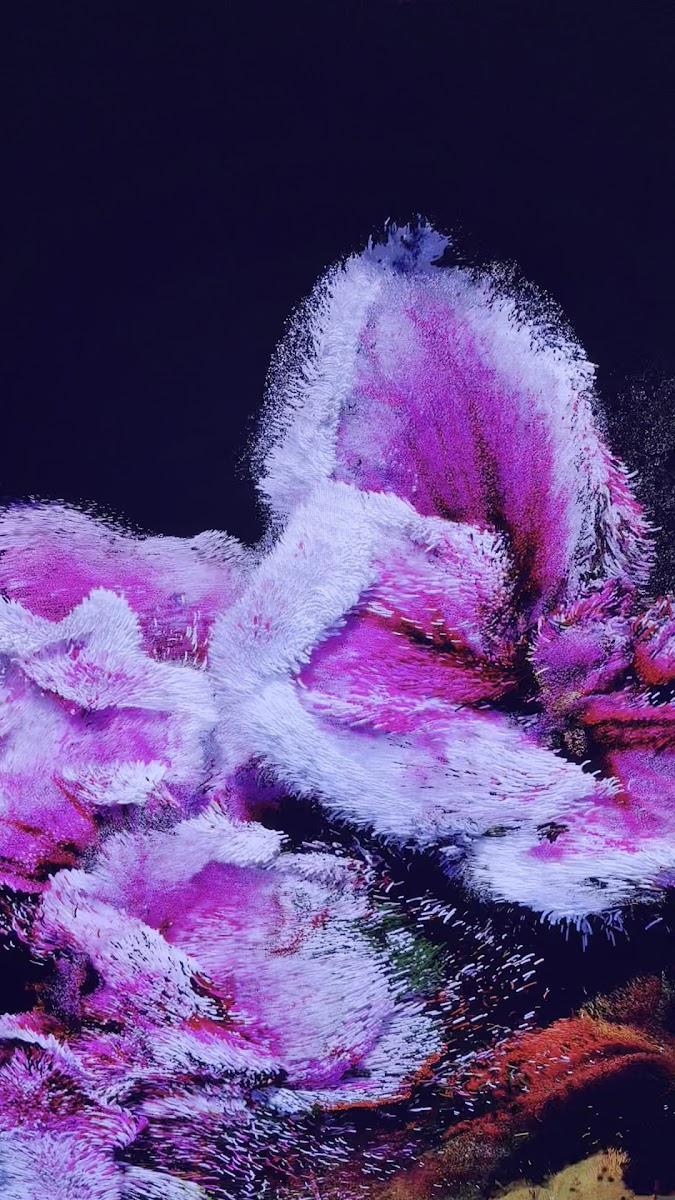 Türkiye İş Bankası Resim Heykel Müzesi — fotoğraf 2