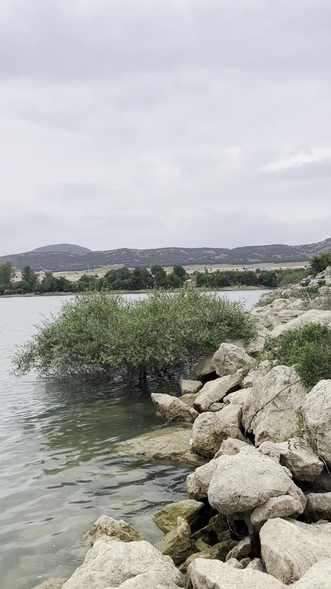 Uluköy (Sonusa) Göleti ve Piknik Alanı — fotoğraf 2