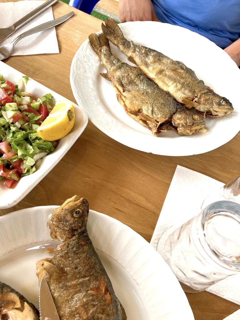 UMCA ALABALIK — fotoğraf 5