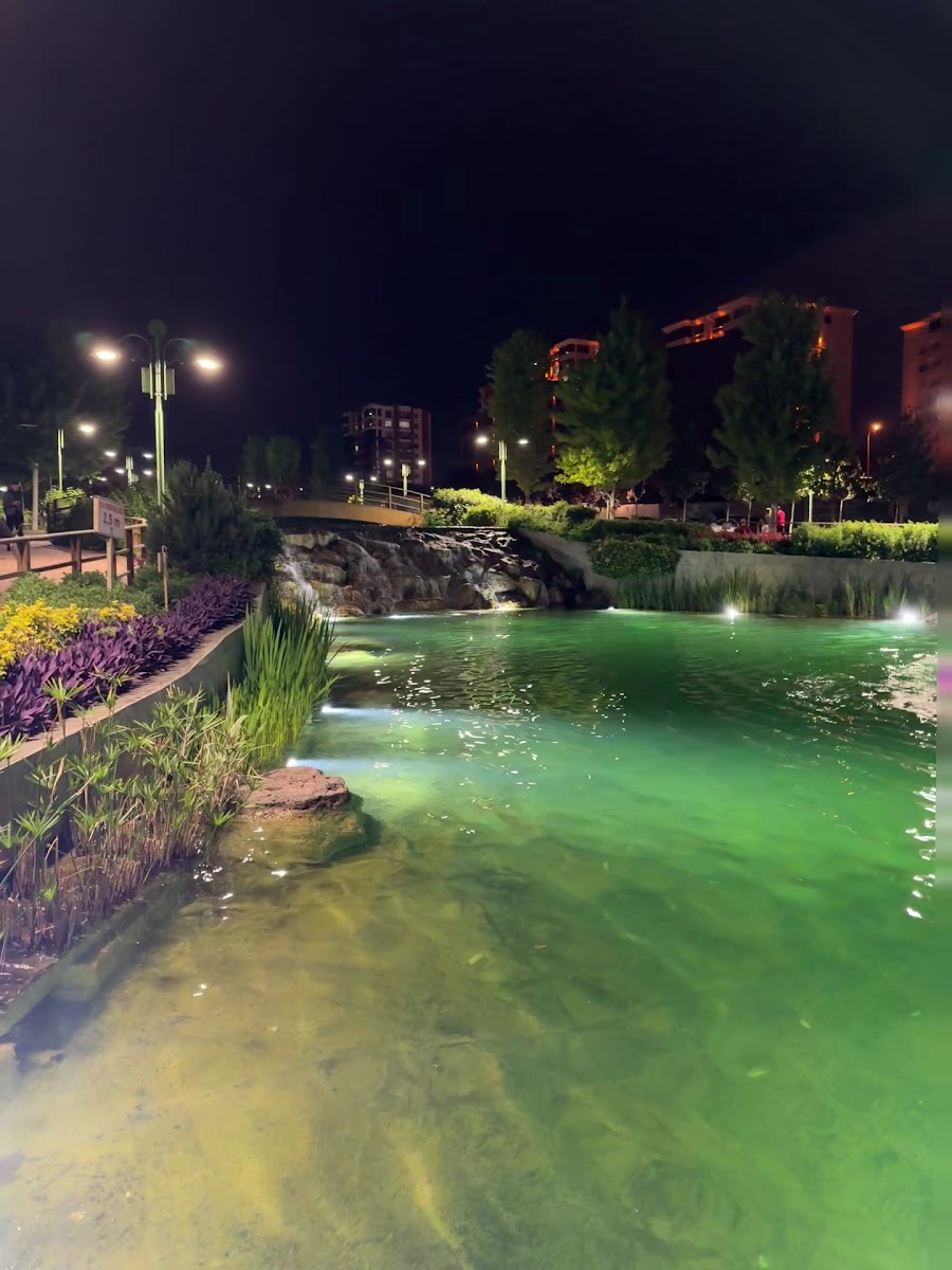 Vadi Park — fotoğraf 3