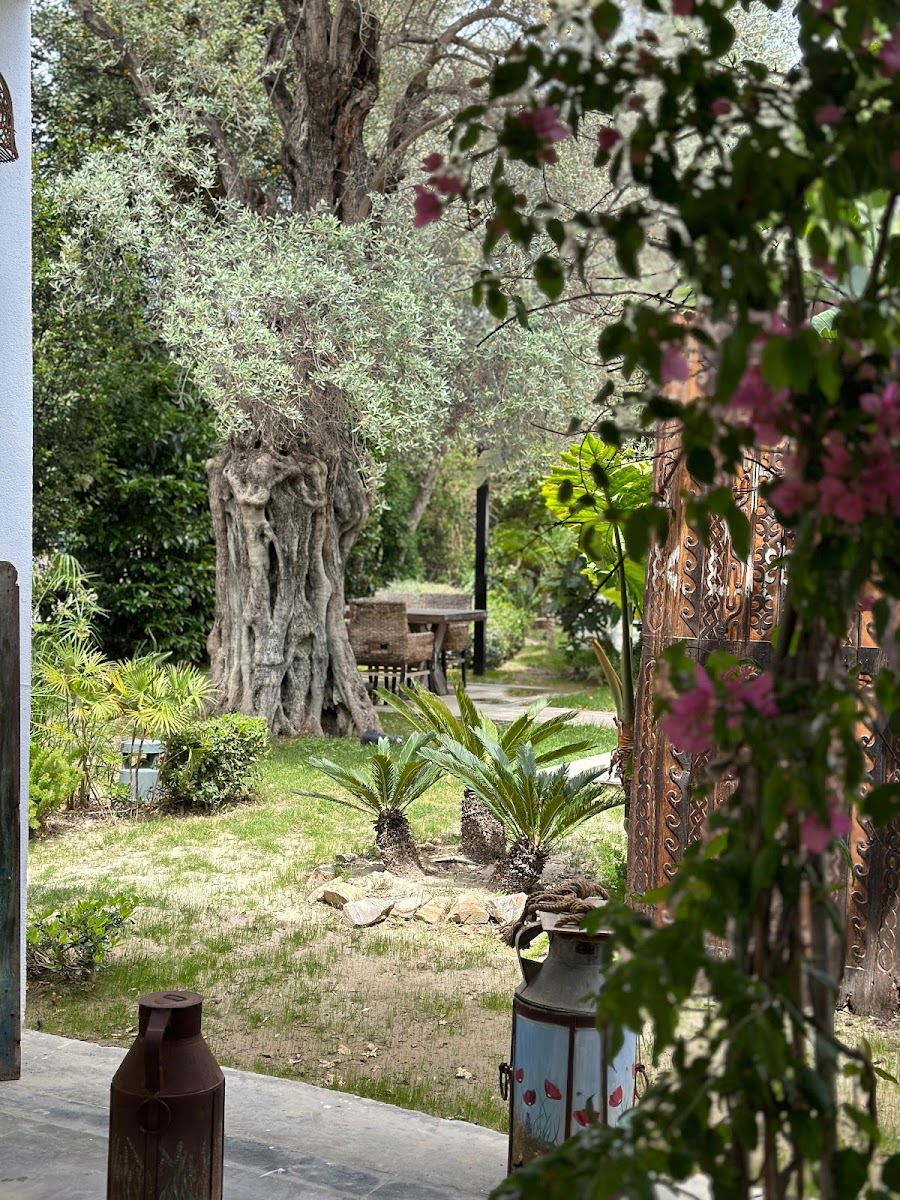 Van Kahvaltı Lounge Bodrum Bitez — fotoğraf 7