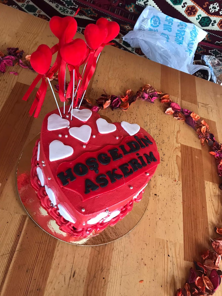 VATAN PASTANESİ — fotoğraf 8