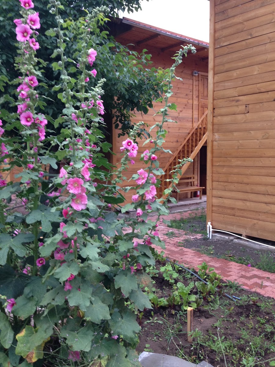 Veliköy Han Konakları Otel&Restoran — fotoğraf 7