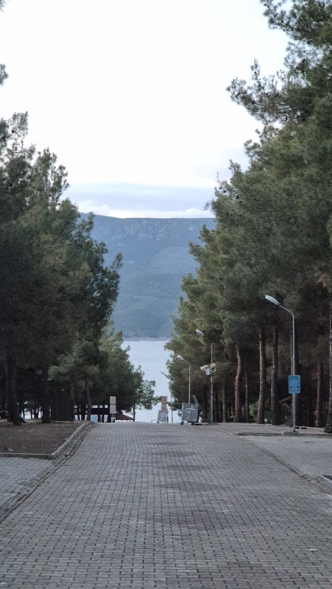 Vezirsuyu Tabiat Parkı — fotoğraf 2