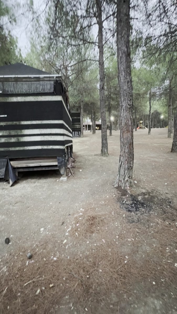 Vezirsuyu Tabiat Parkı — fotoğraf 3