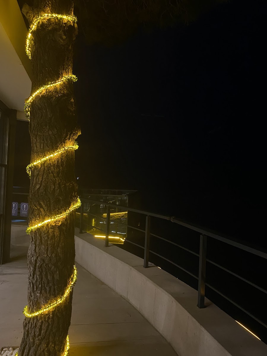 Vira Otel Suites — fotoğraf 2