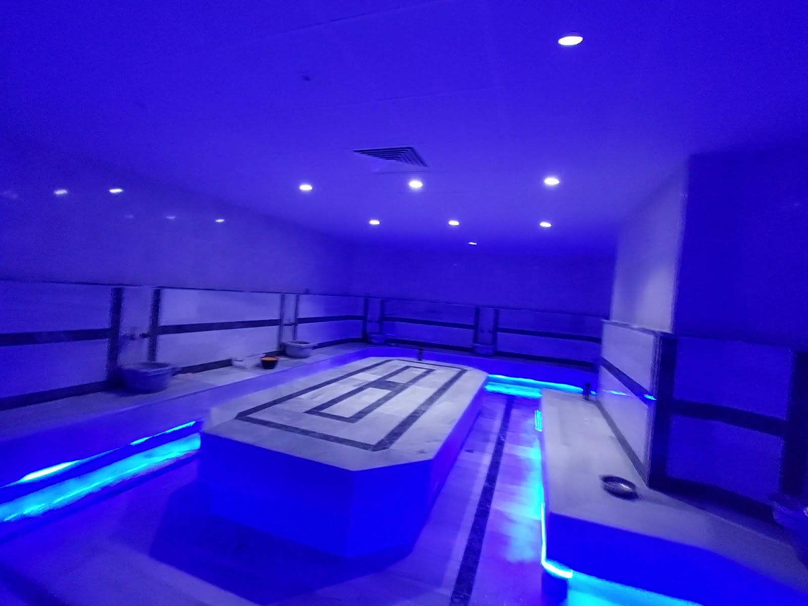 Willmont Hotel — fotoğraf 5