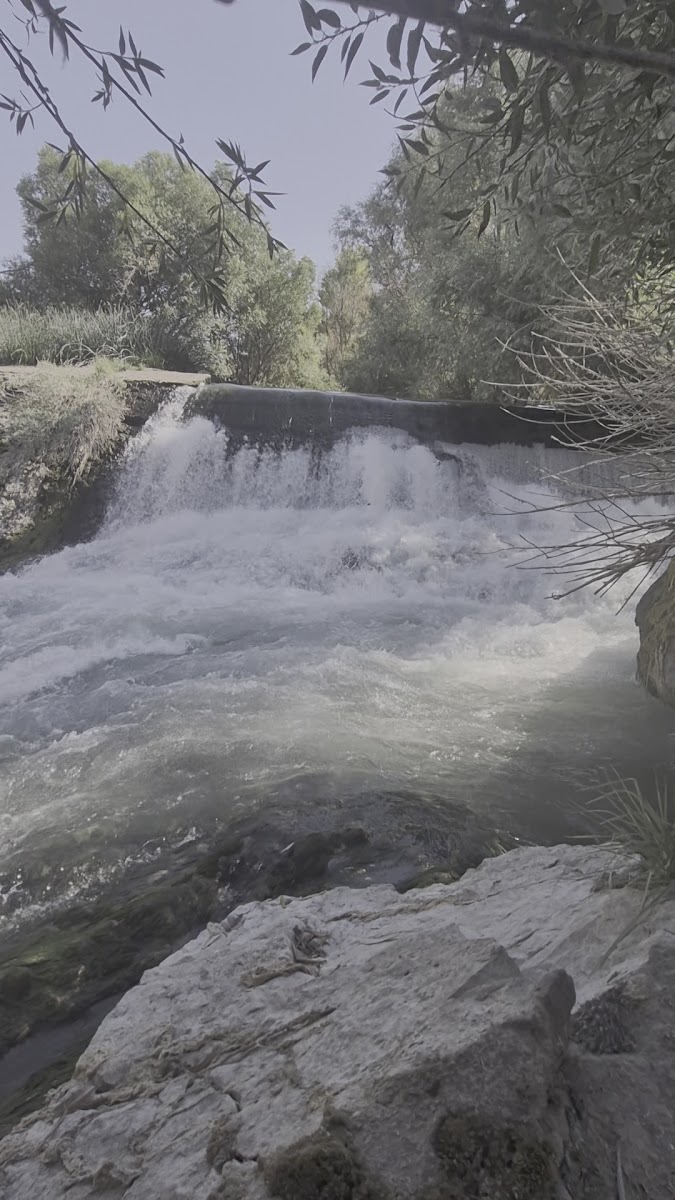 Yakamoz Balık Restoran — fotoğraf 3