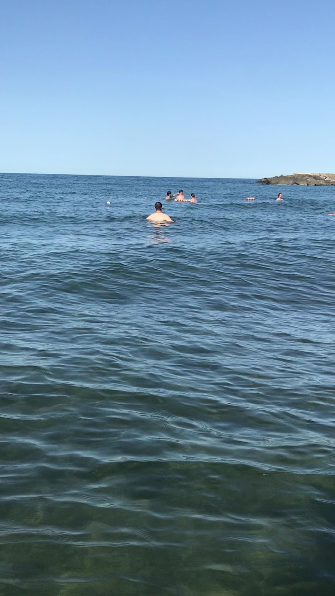 Yalıncak Belediyesi Aile Plajı — fotoğraf 3