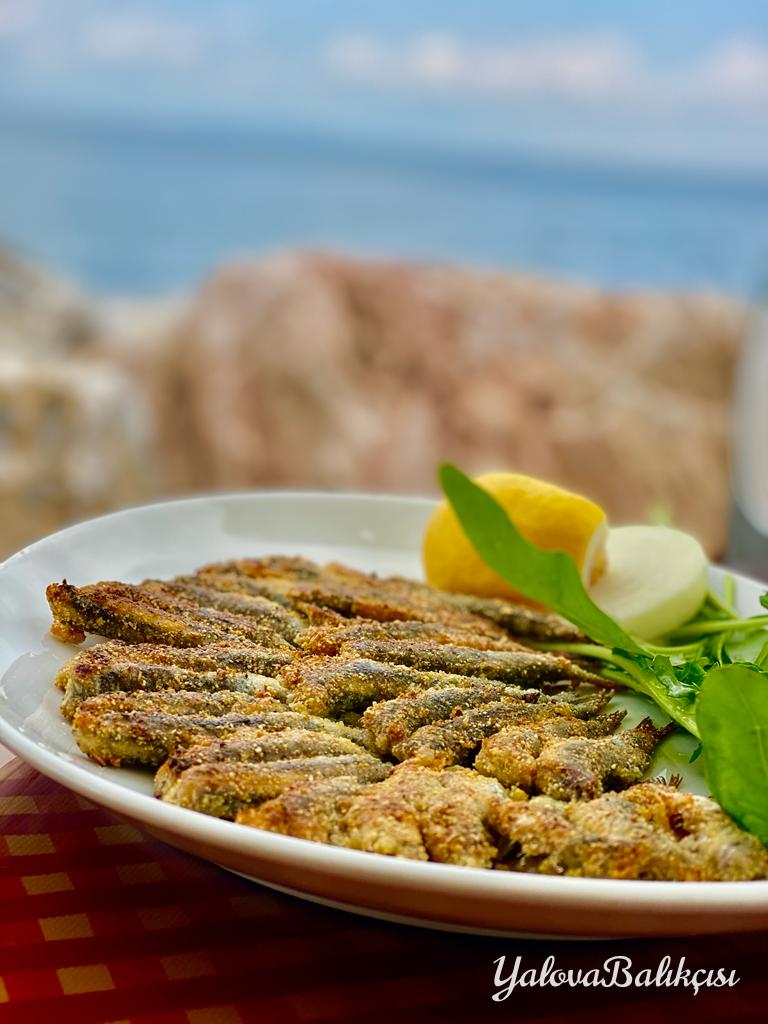 Yalova Balıkçısı — fotoğraf 4