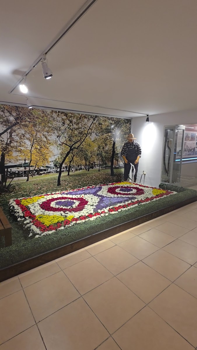 Yalova Kent Müzesi — fotoğraf 2