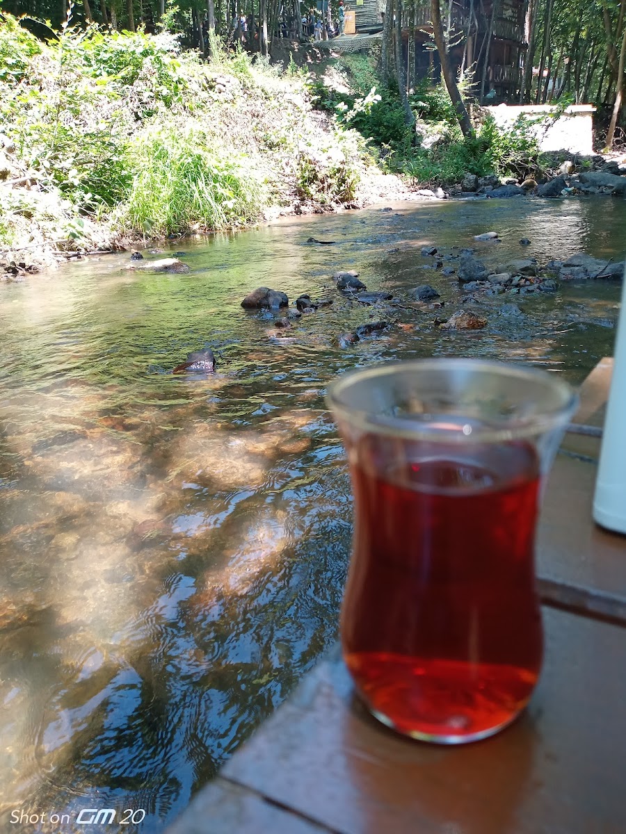 Yalova Kent Ormanı — fotoğraf 5