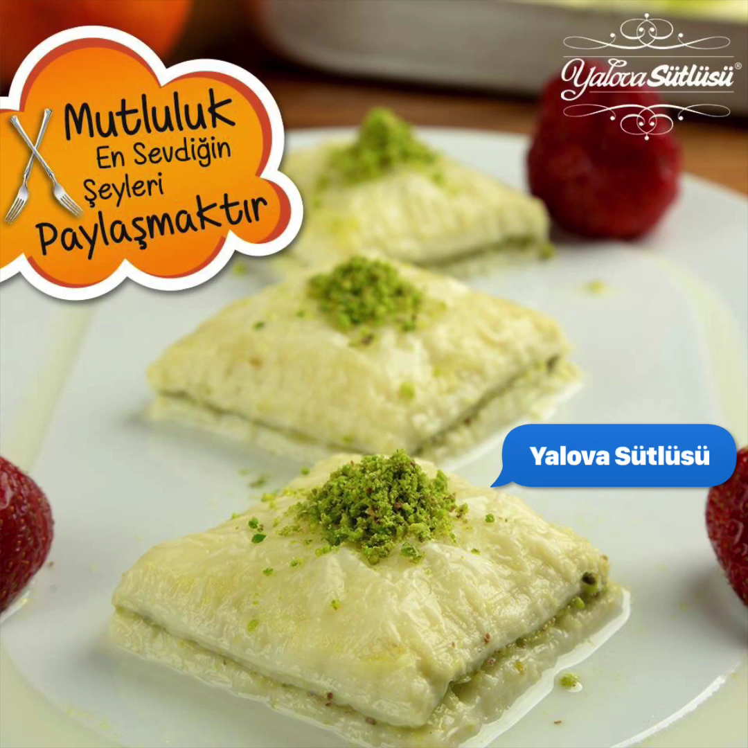 Yalova Sütlüsü — fotoğraf 10