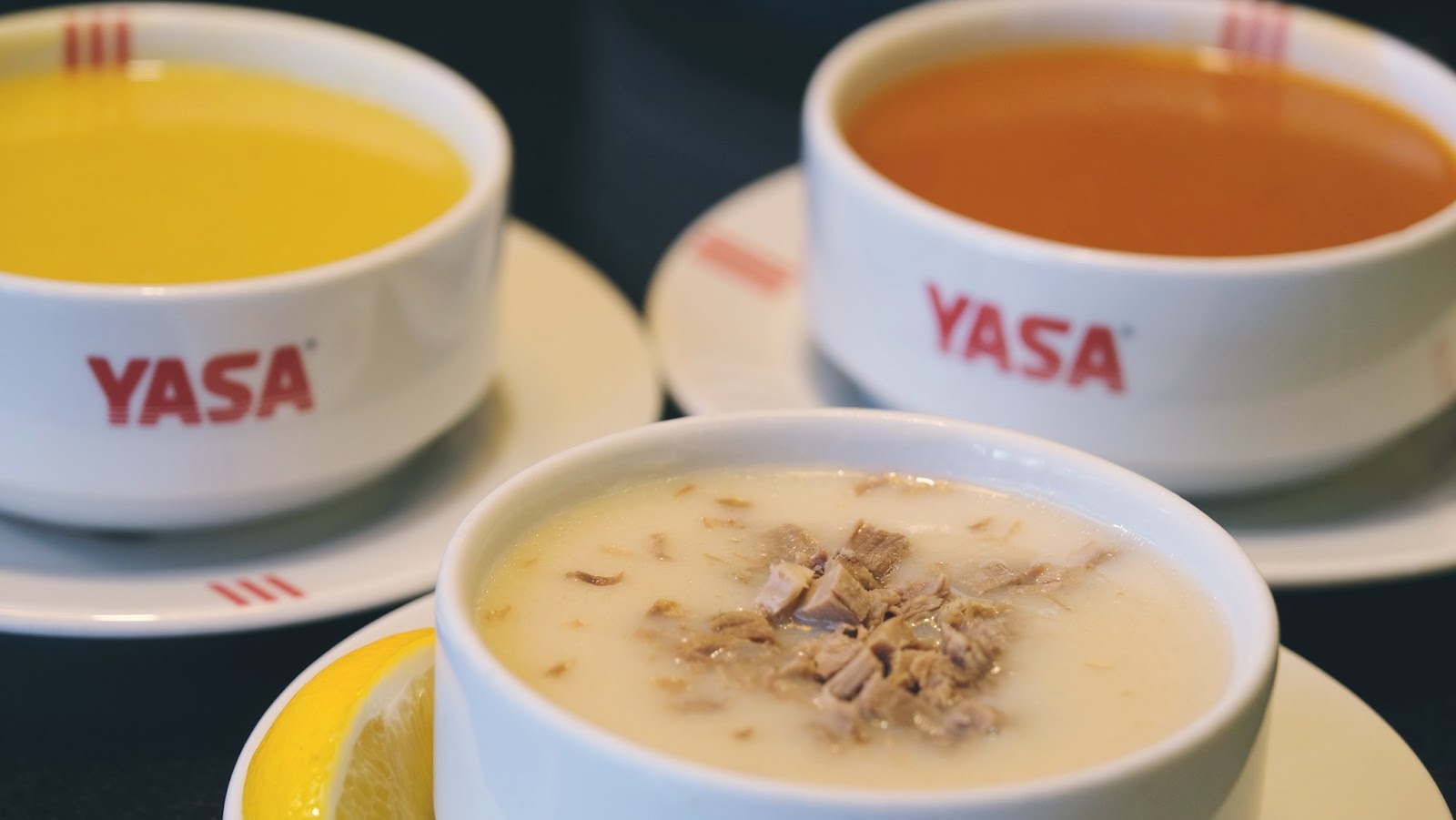 Yasa Dinlenme Tesisi — fotoğraf 5