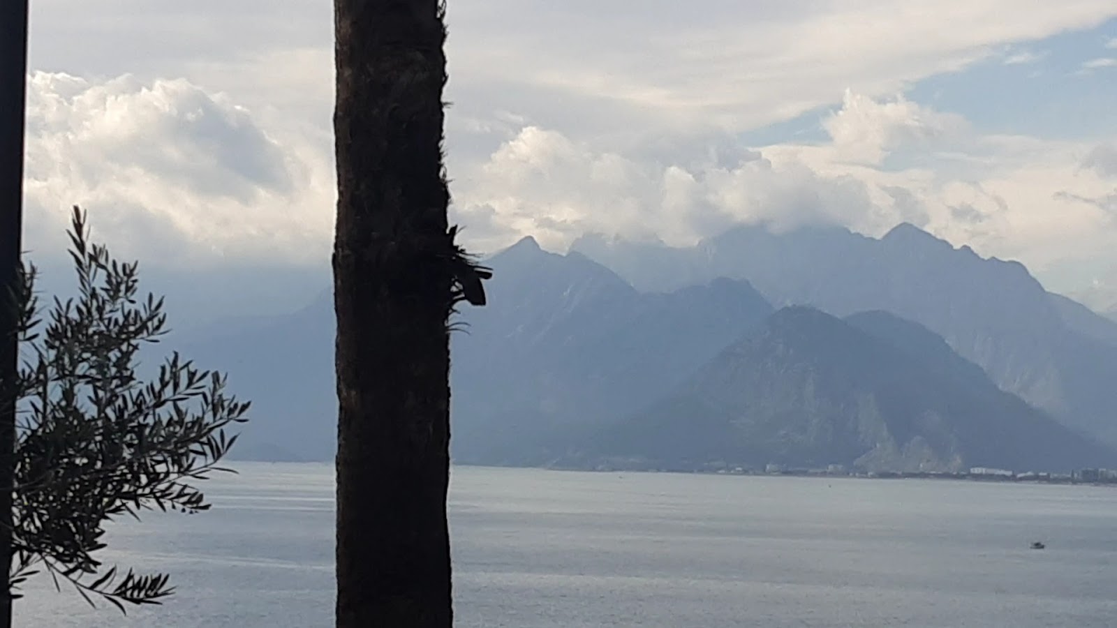 Yavuz Özcan Parkı — fotoğraf 3