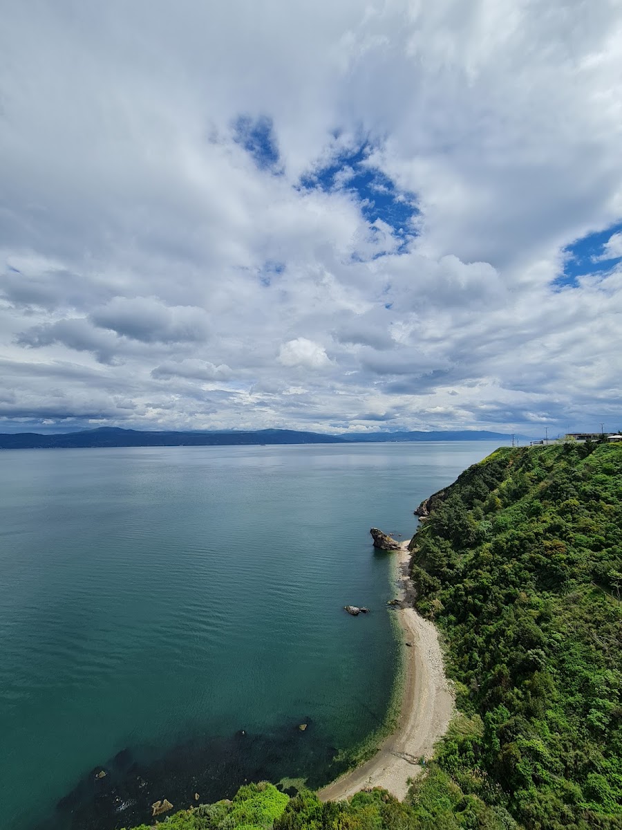 Yazakı Hatıra Ormanı — fotoğraf 1