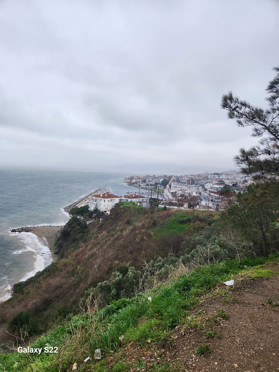 Yazakı Hatıra Ormanı — fotoğraf 2