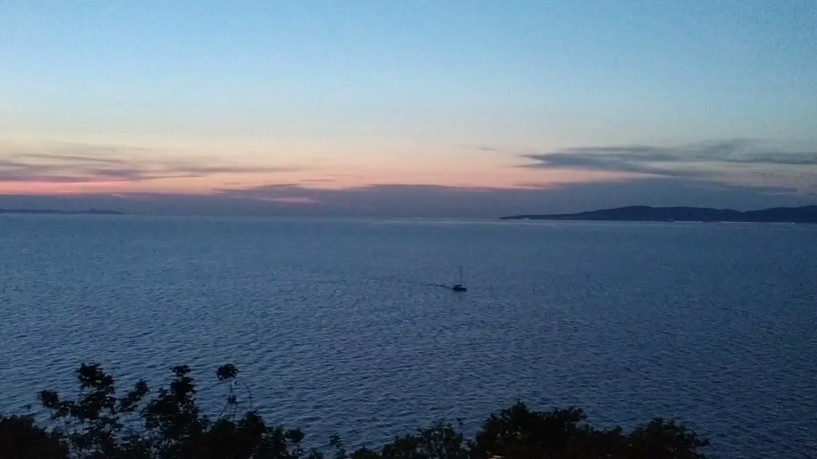 Yazakı Hatıra Ormanı — fotoğraf 3